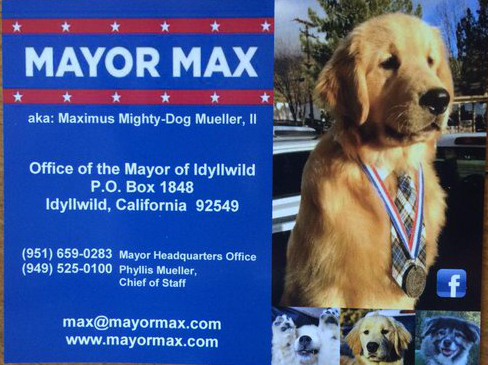 Mayor Max