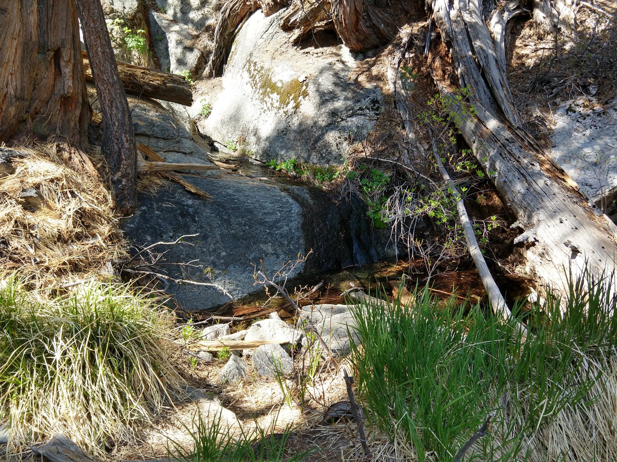 Idyllwild - Suicide Rock Trail