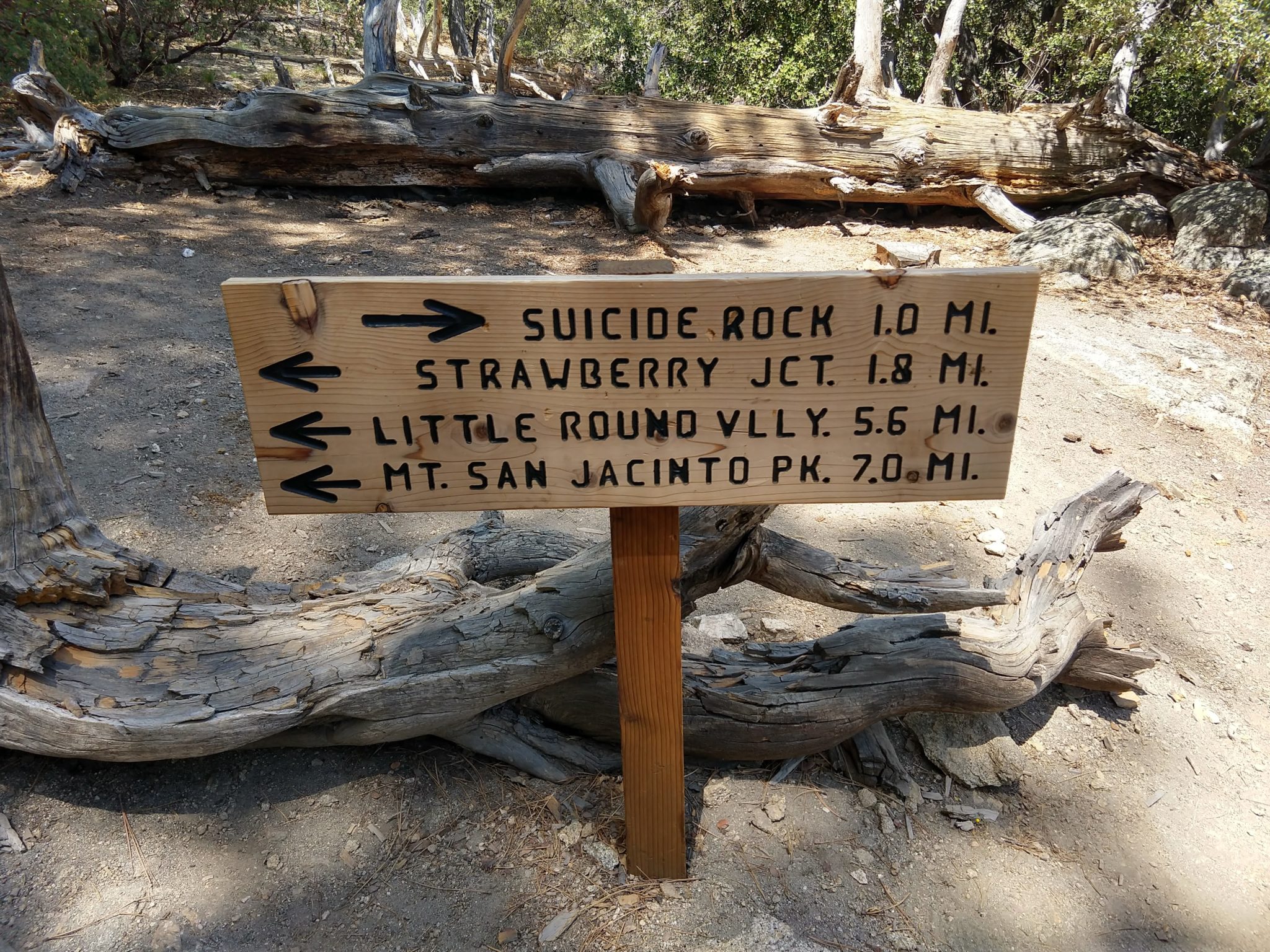 Idyllwild - Suicide Rock Trail