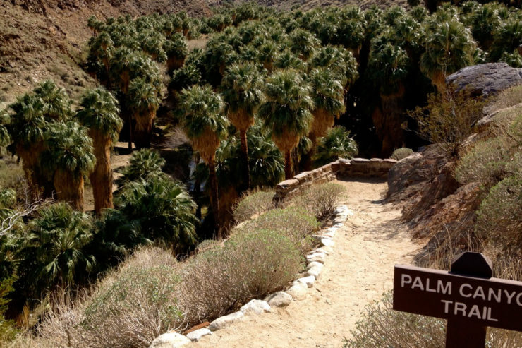 indian-canyons-palm-canyon-trail