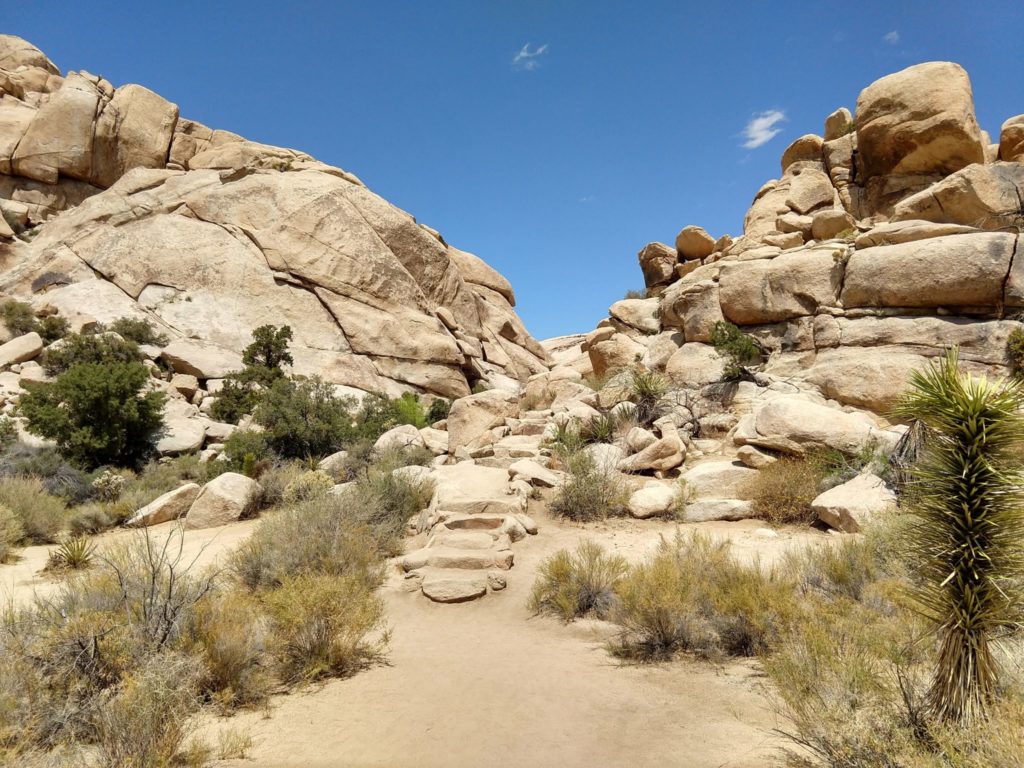 Joshua Tree Barker Dam