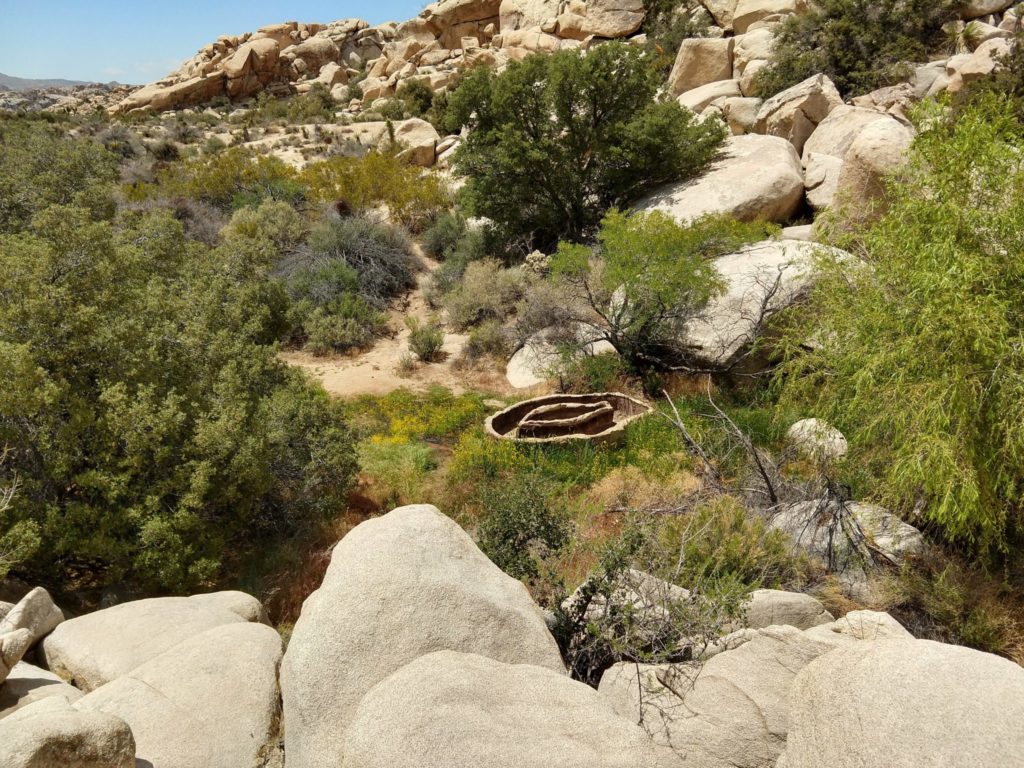 Joshua Tree Barker Dam