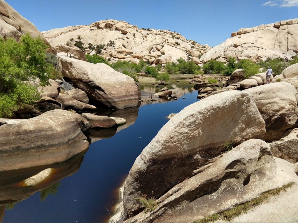 Joshua Tree Barker Dam