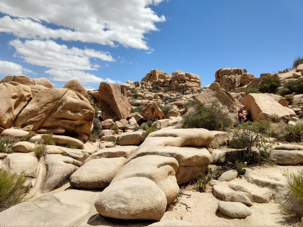 Joshua Tree Barker Dam