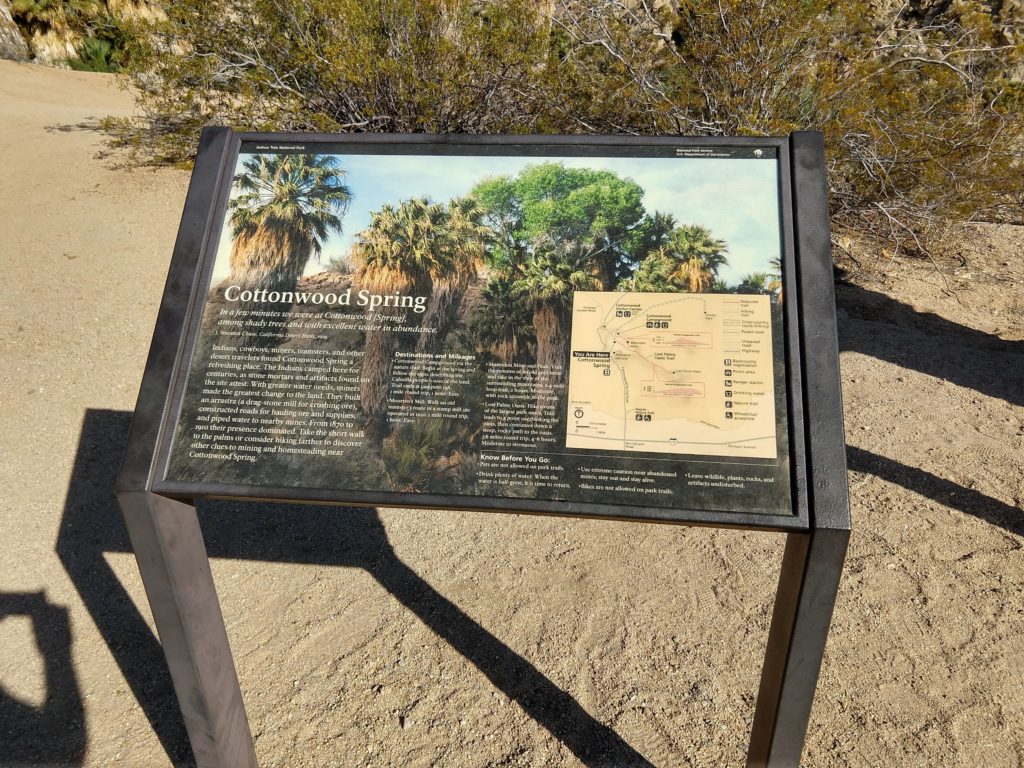 Joshua Tree Cottonwood Springs