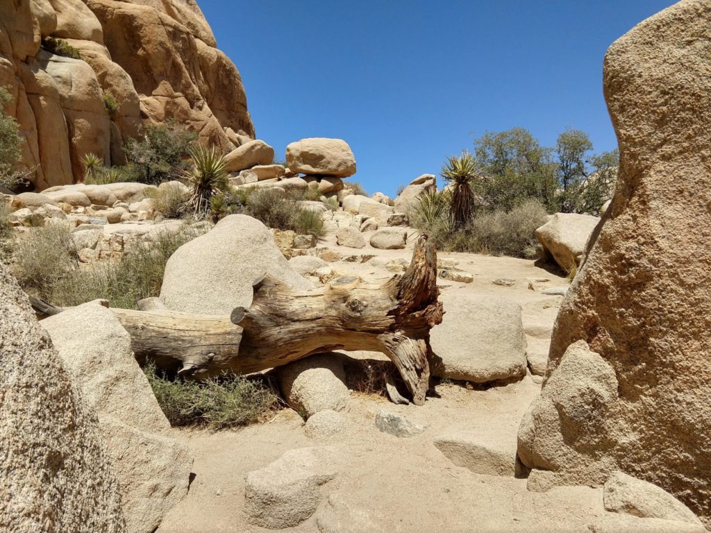 Joshua Tree Hidden Valley