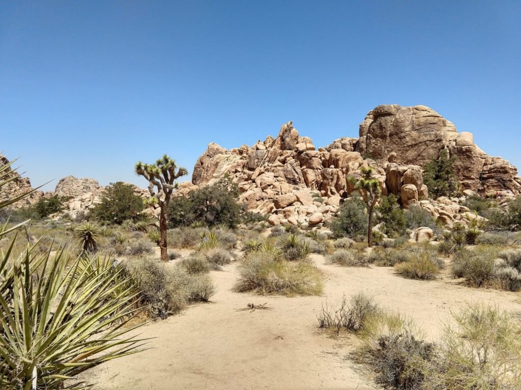 Joshua Tree Hidden Valley