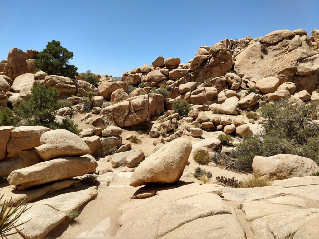 Joshua Tree Hidden Valley