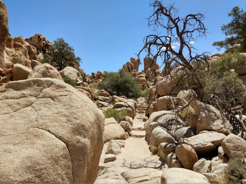 Joshua Tree Hidden Valley