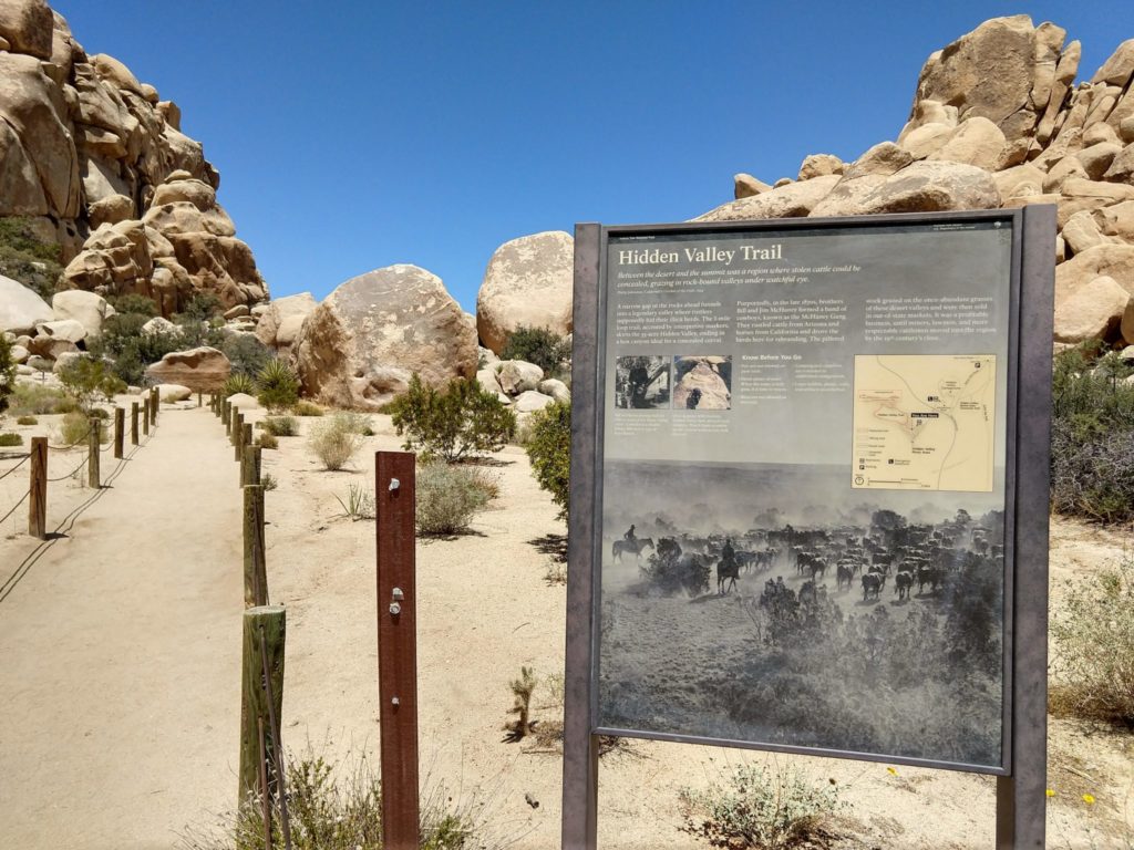 Joshua Tree Hidden Valley