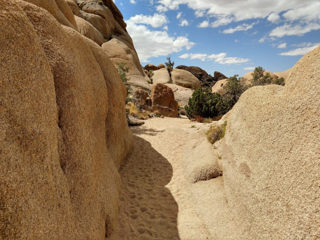 Joshua Tree Skull Rock