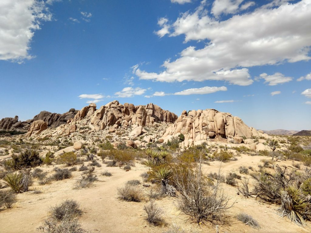 Joshua Tree Skull Rock