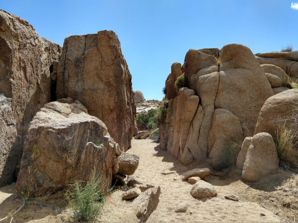 Joshua Tree Skull Rock