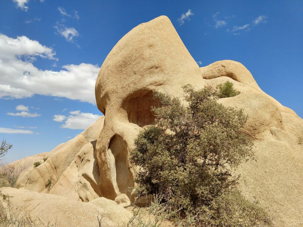 Joshua Tree Skull Rock