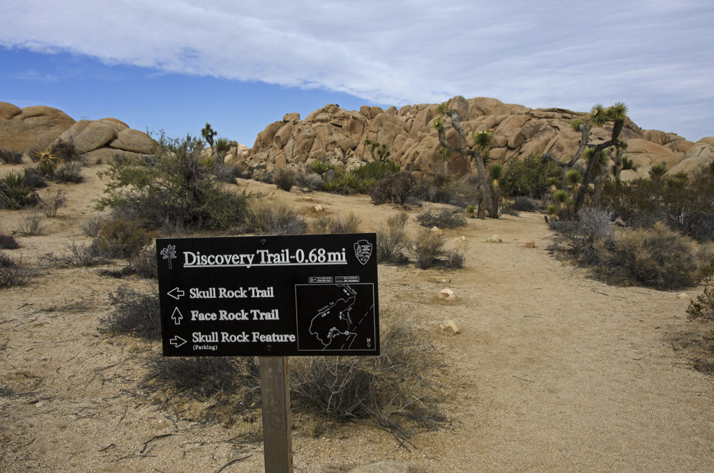 Joshua Tree Skull Rock