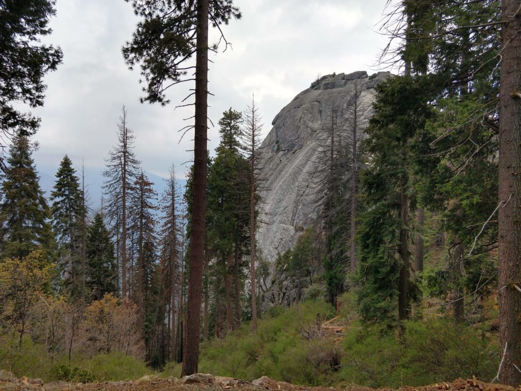 Sequoia National Park - Moro Rock