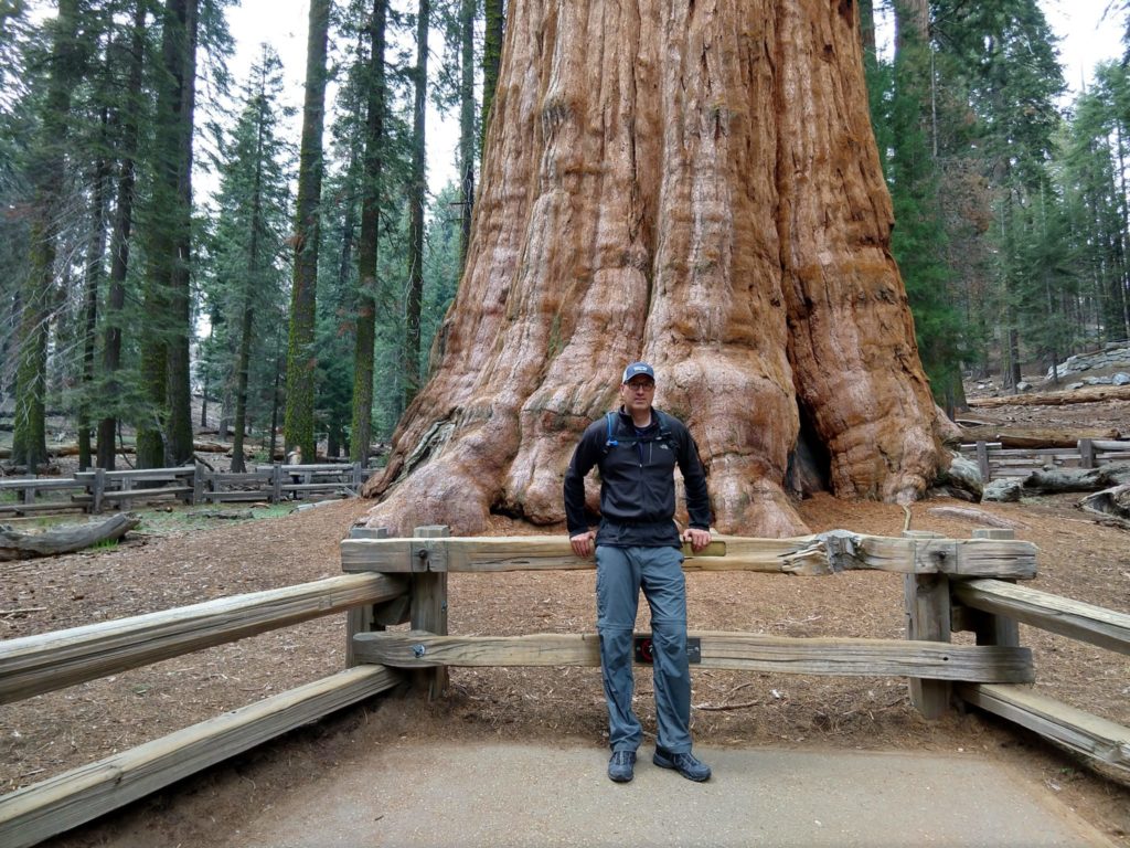 Sequoia National Park - Sherman Tree Trail
