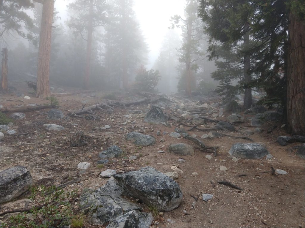 Yosemite Half Dome Hike