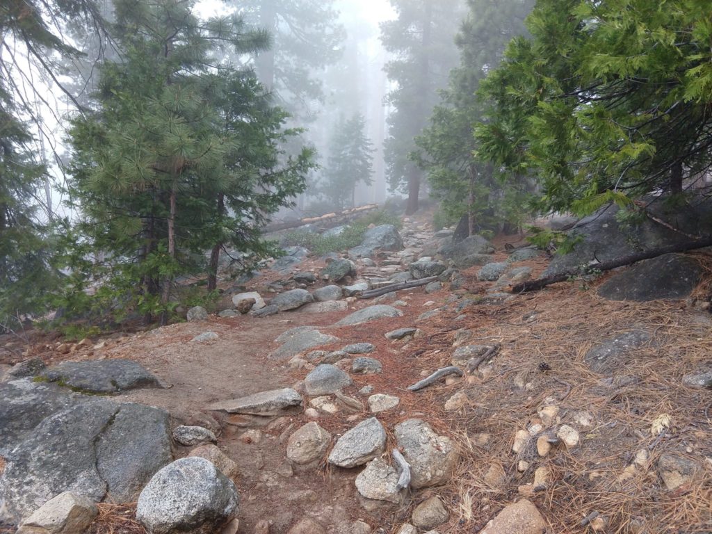 Yosemite Half Dome Hike