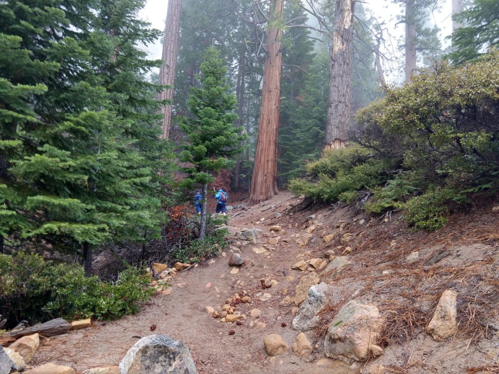 Yosemite Half Dome Hike