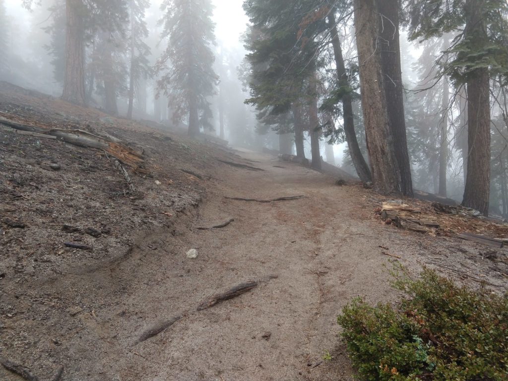 Yosemite Half Dome Hike