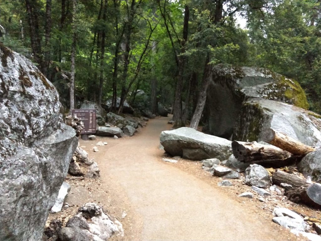 Yosemite Half Dome Hike