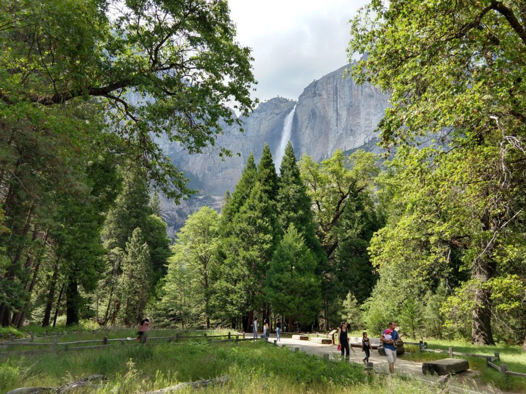 Lower Yosemite Falls