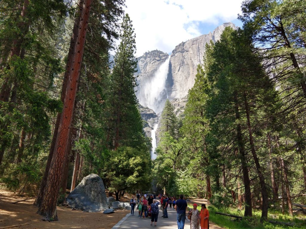 Lower Yosemite Falls