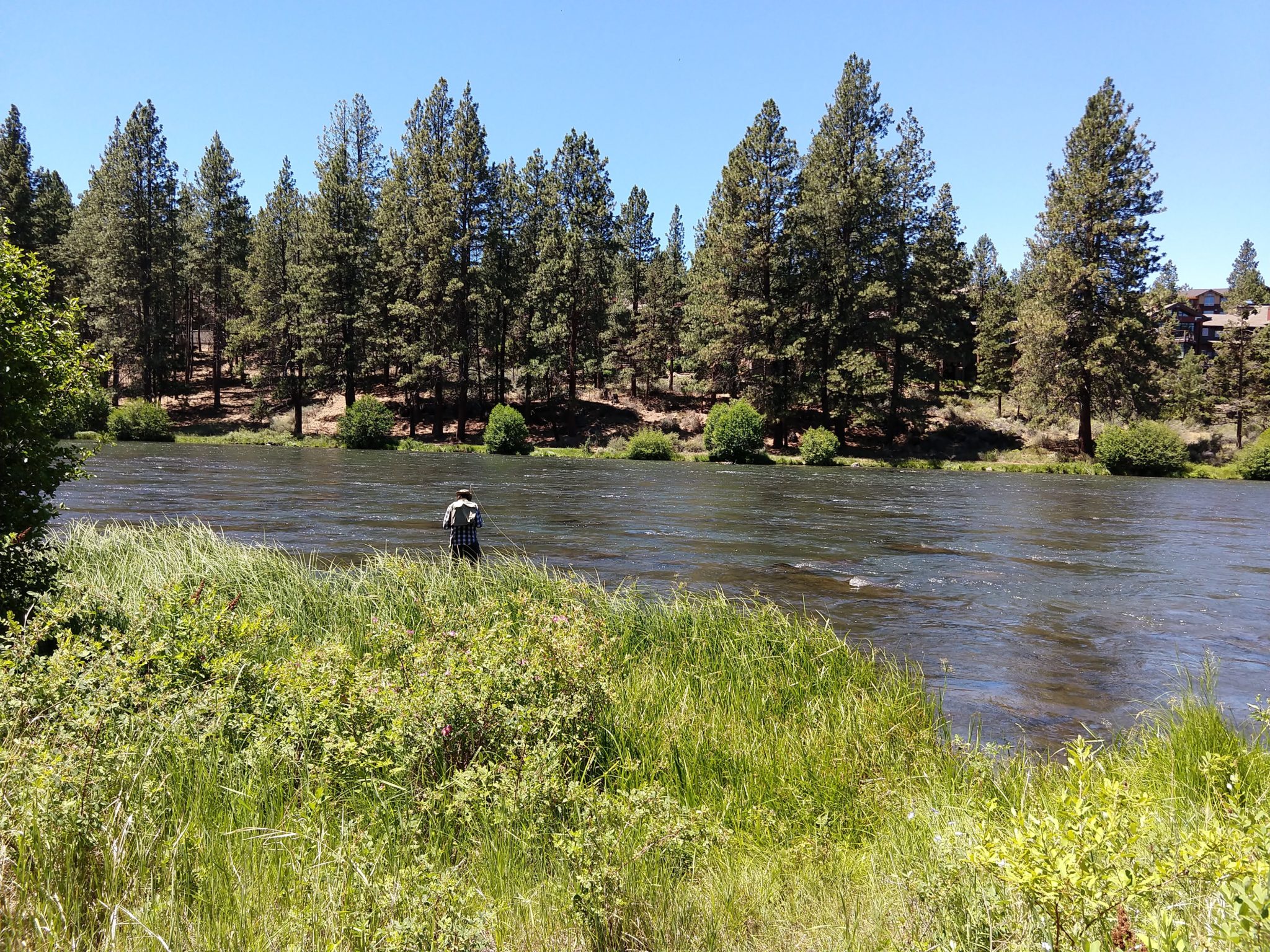 Oregan Trail - Deschutes River South Canyon Trail