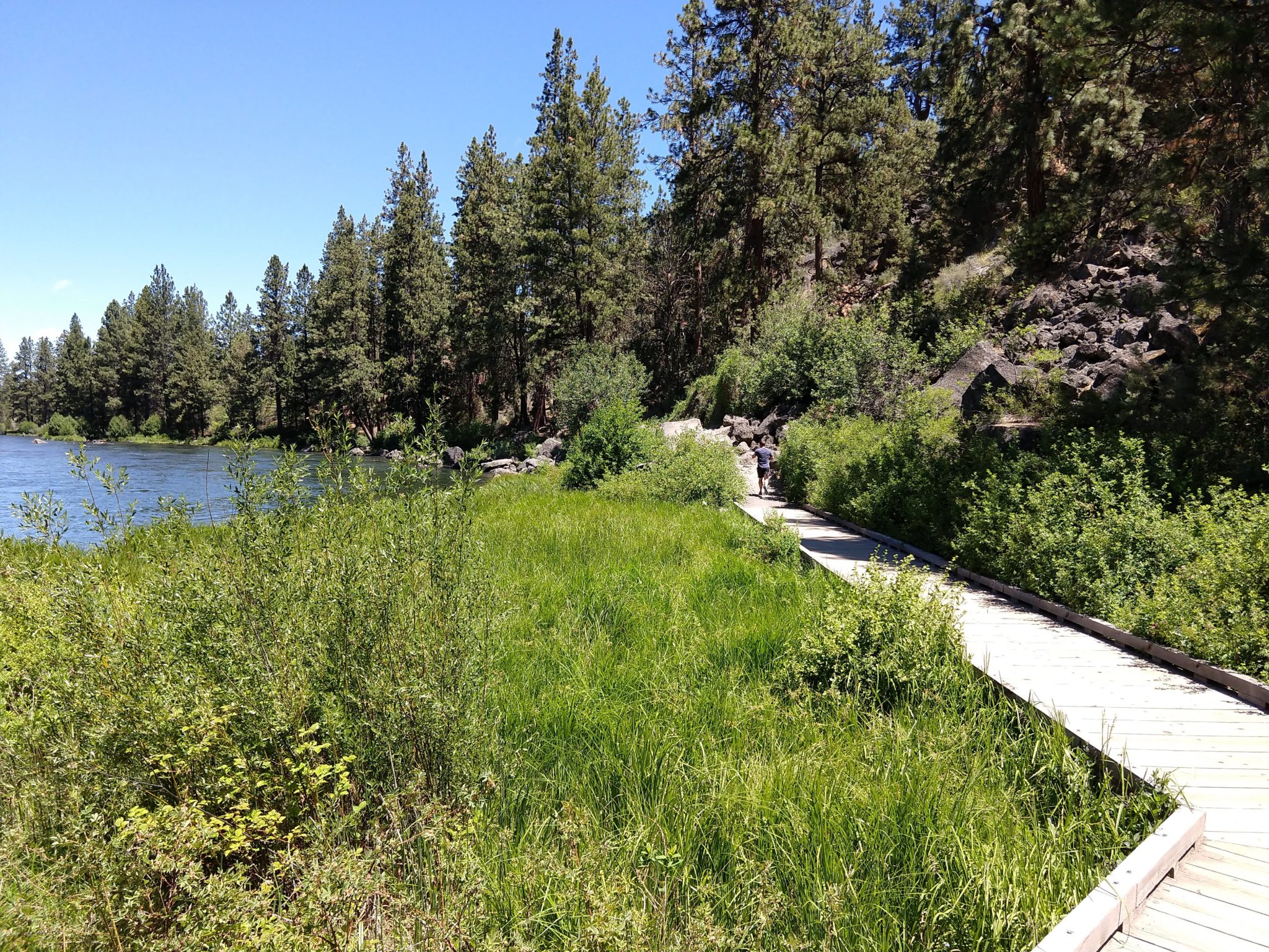 Oregan Trail - Deschutes River South Canyon Trail