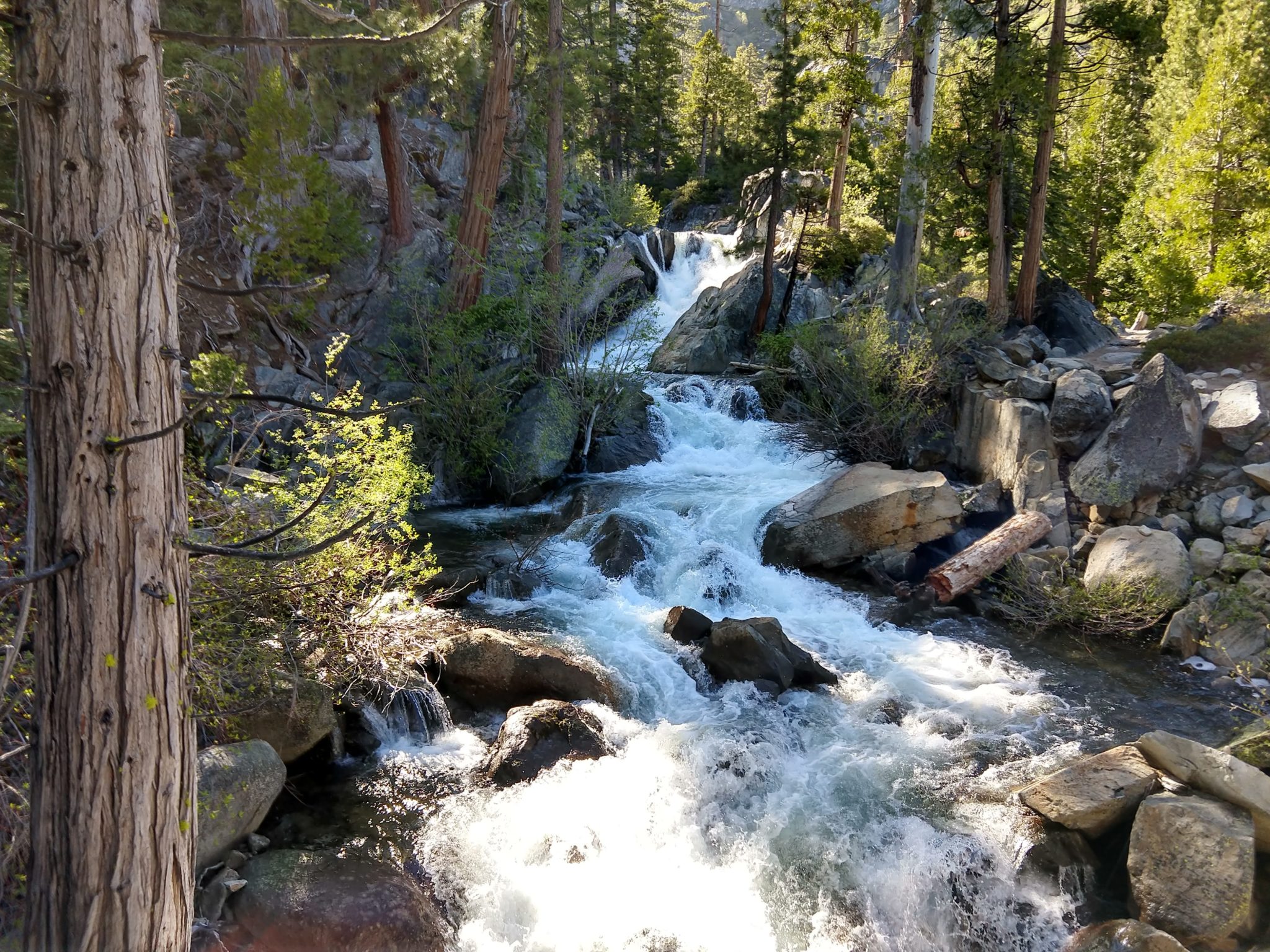 Emerald Bay Hikes - Lower Eagle Falls Trail