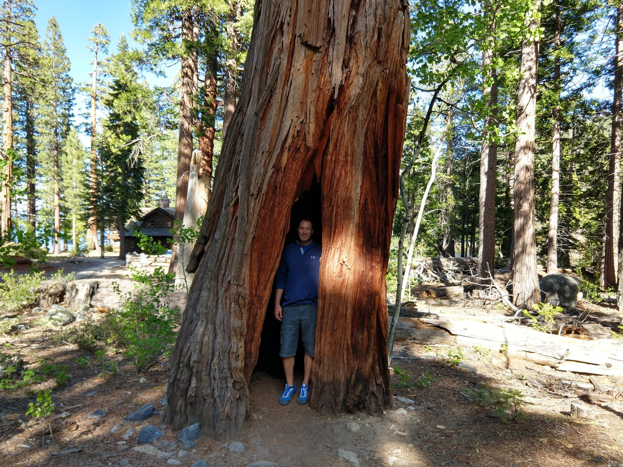 Emerald Bay Hikes - Lower Eagle Falls Trail