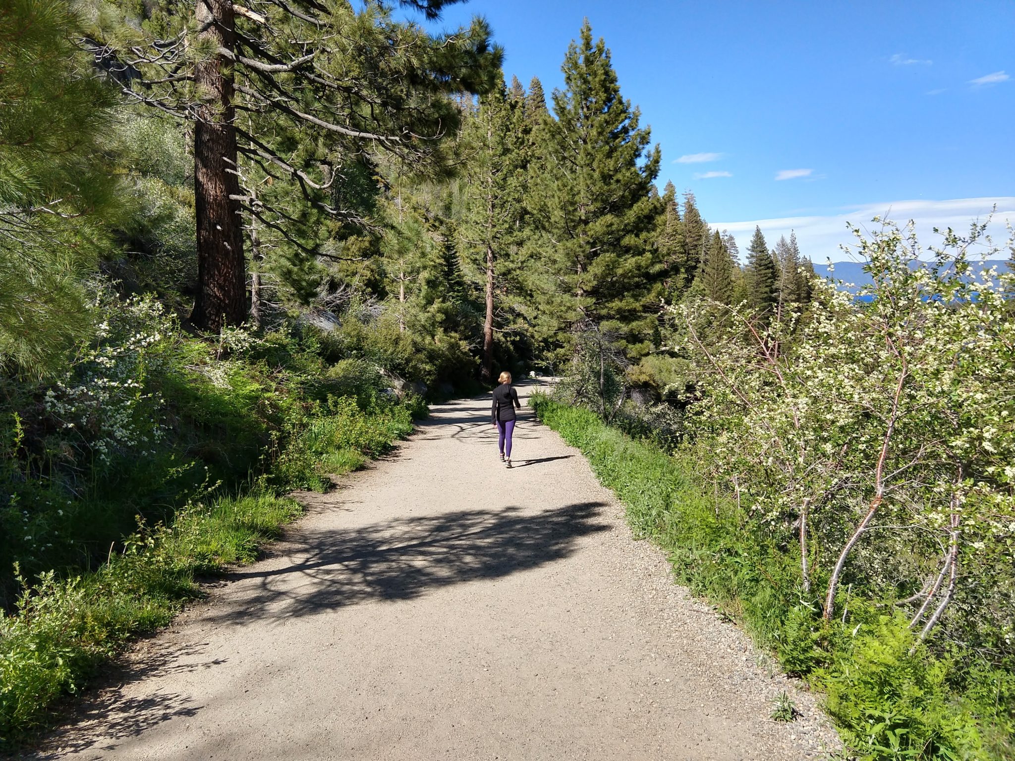 Emerald Bay Hikes - Vikingsholm hike