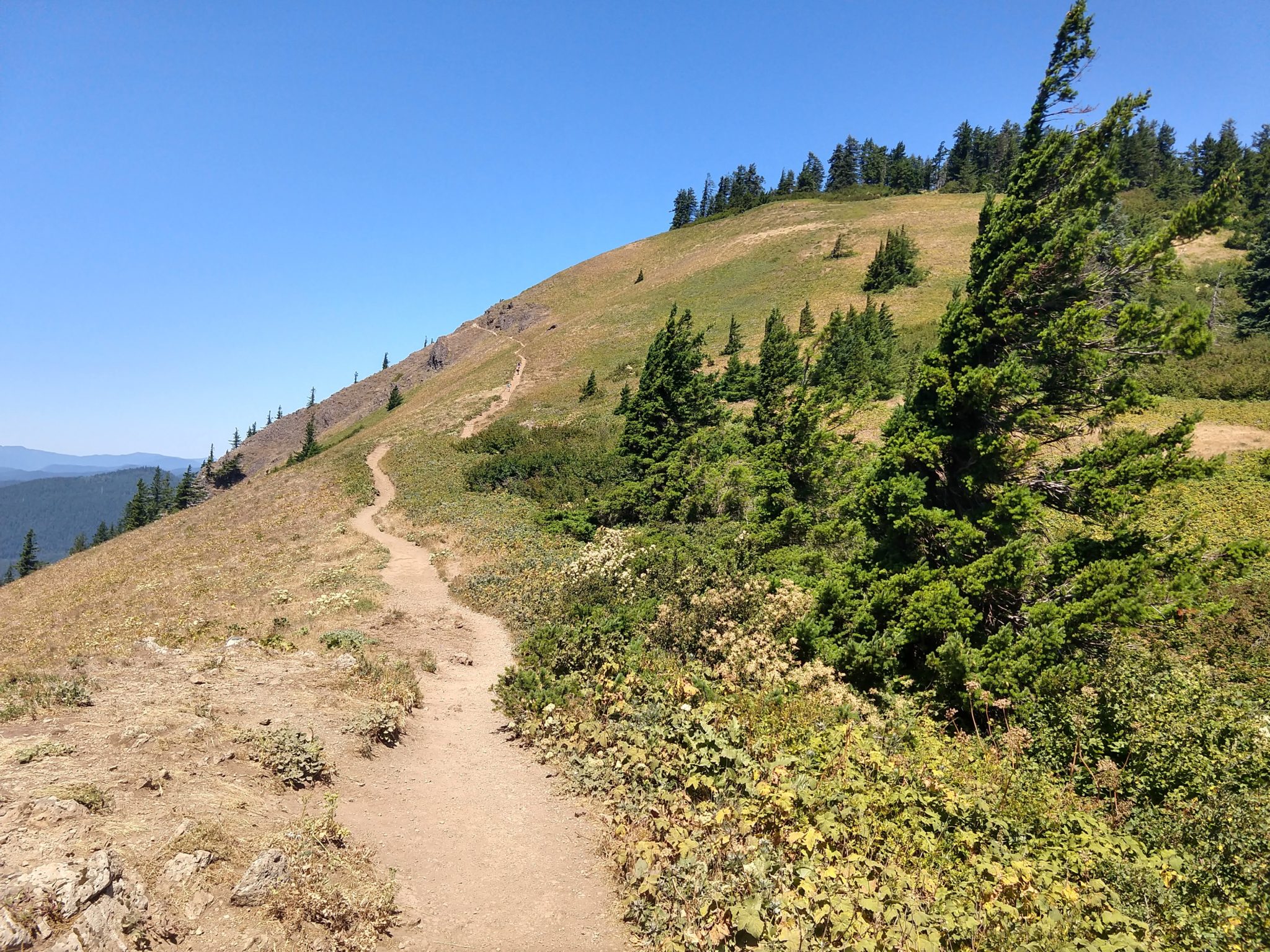 Columbia River Gorge - Dog Mountain