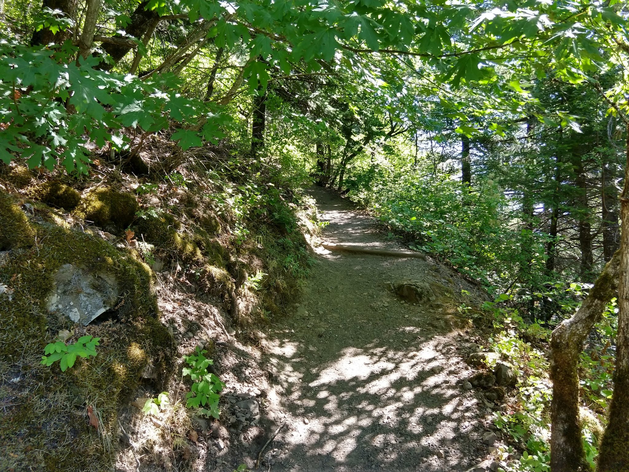 Columbia River Gorge - Dog Mountain