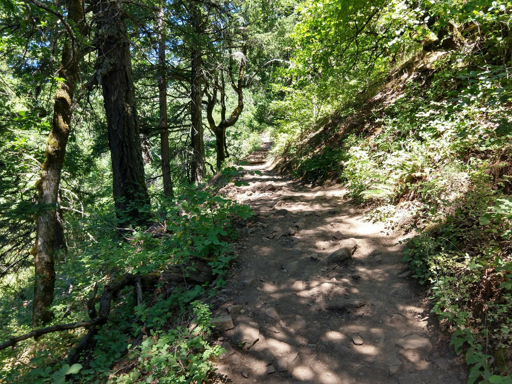 Columbia River Gorge - Dog Mountain