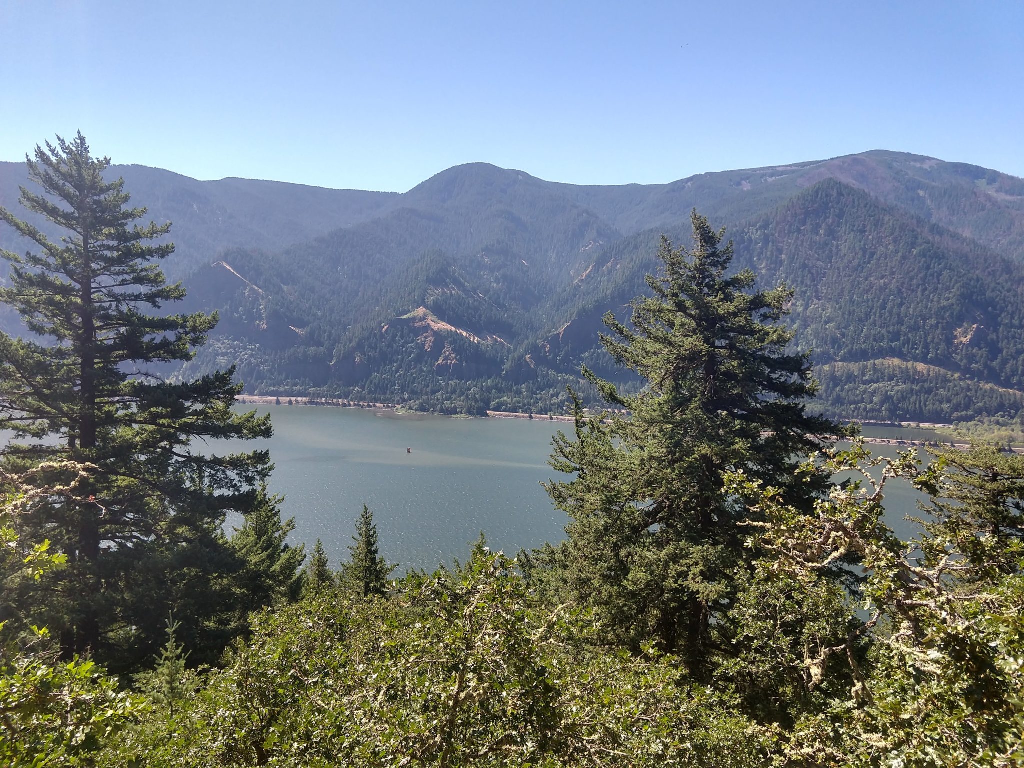 Columbia River Gorge - Dog Mountain