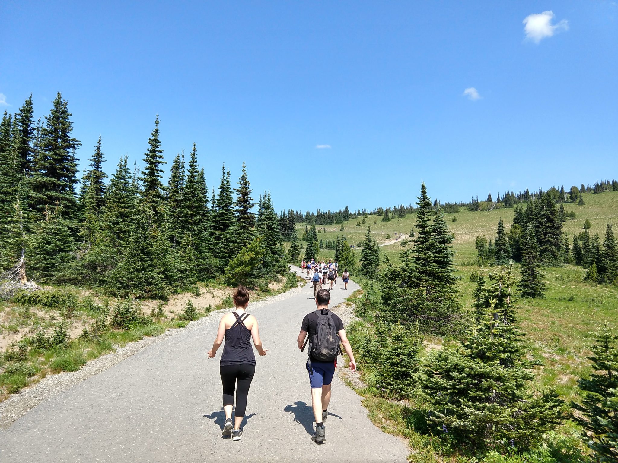 Hiking Mount Rainier