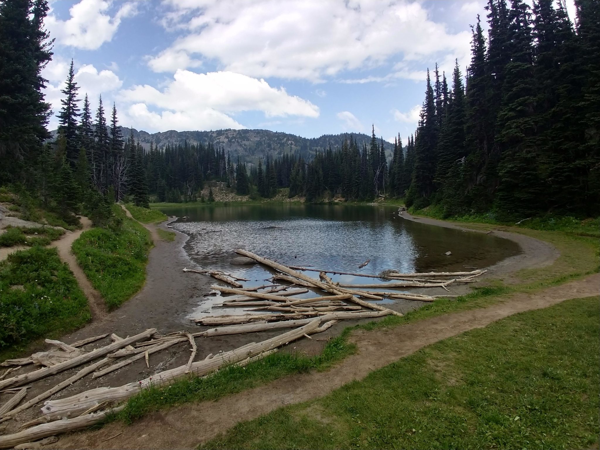 Hiking Mount Rainier