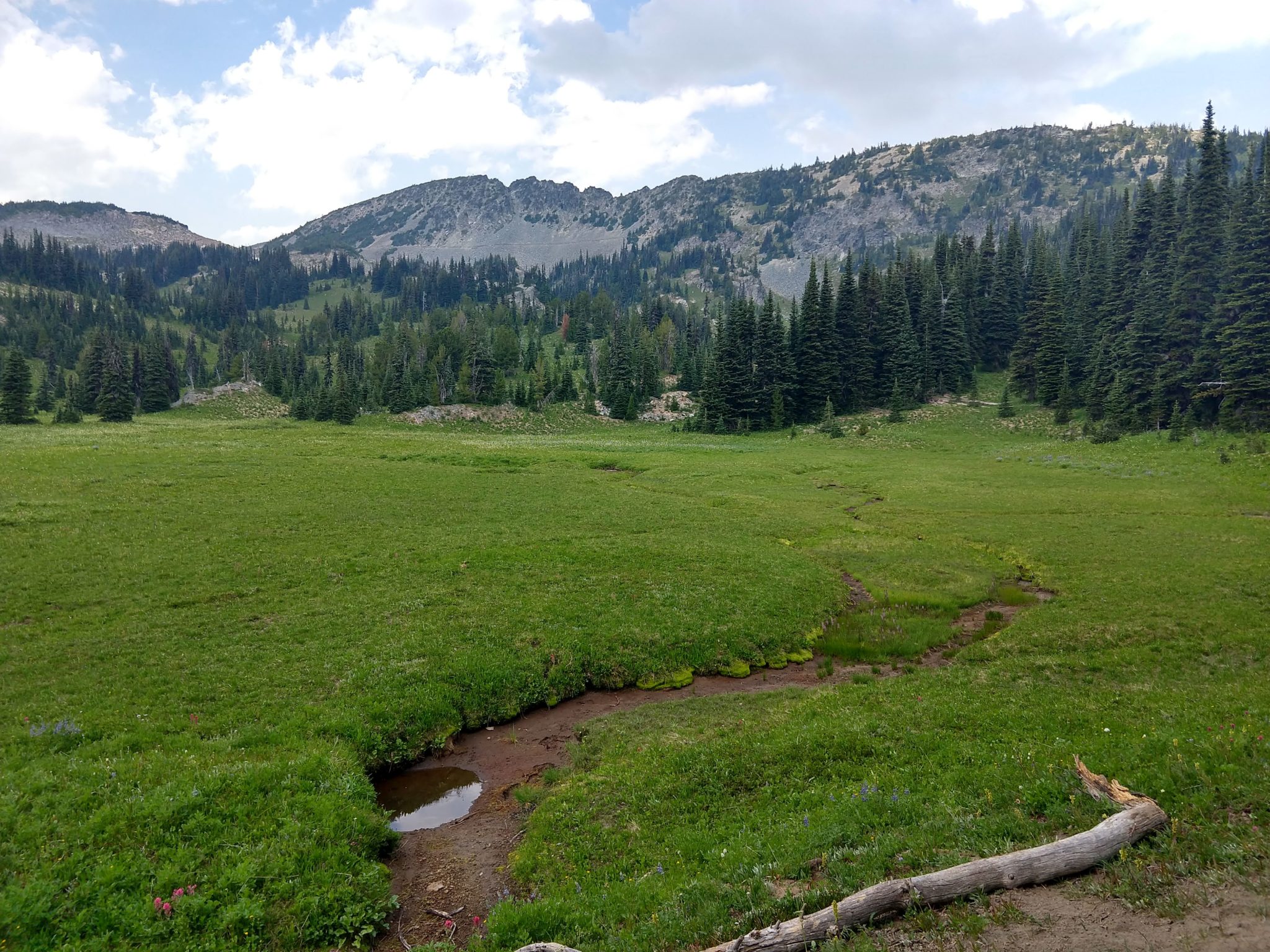 Hiking Mount Rainier