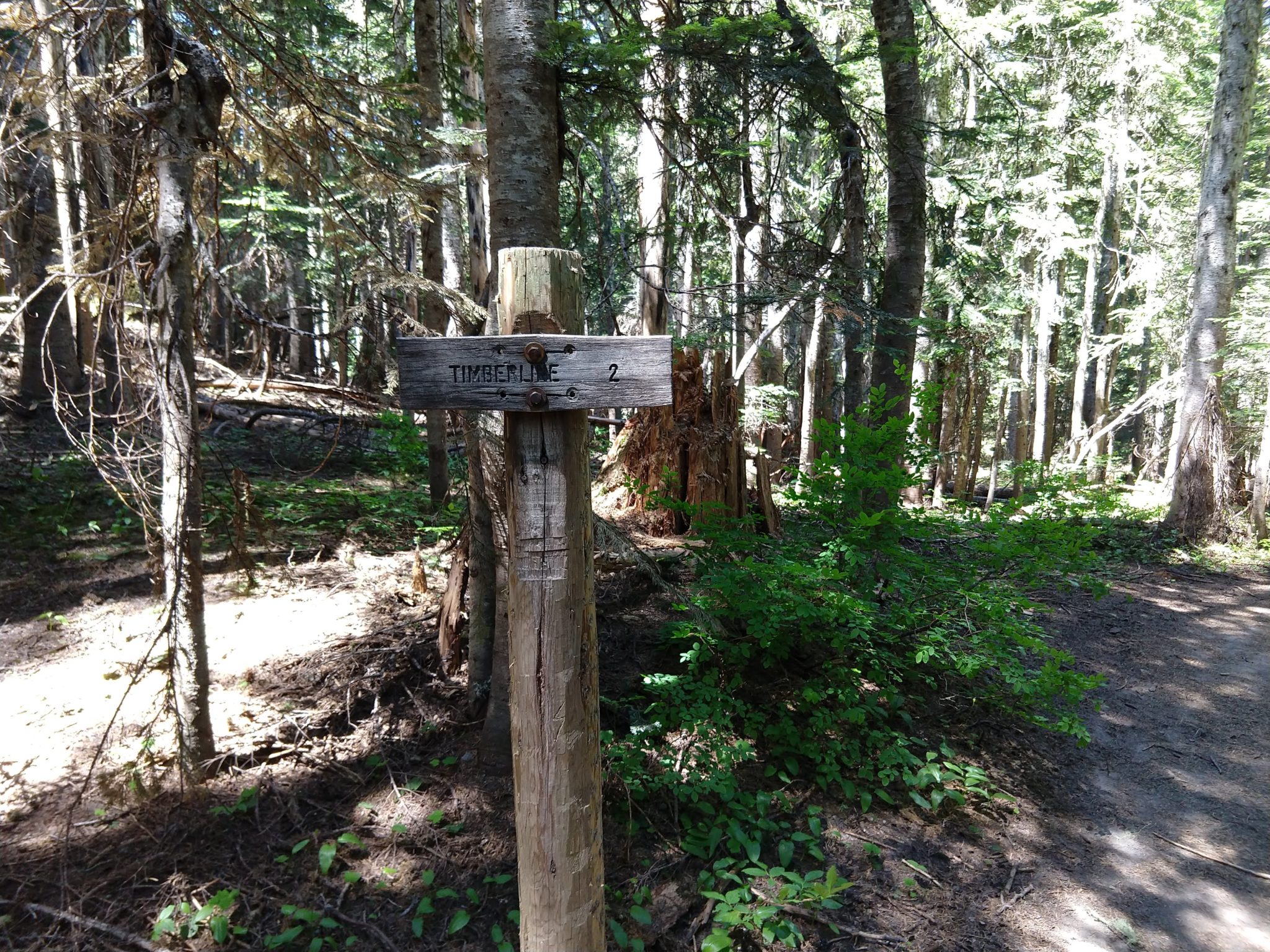 Hiking Mount St. Helens