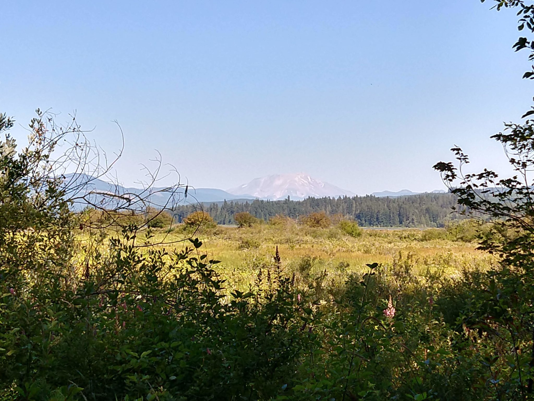 Hiking Mount St. Helens