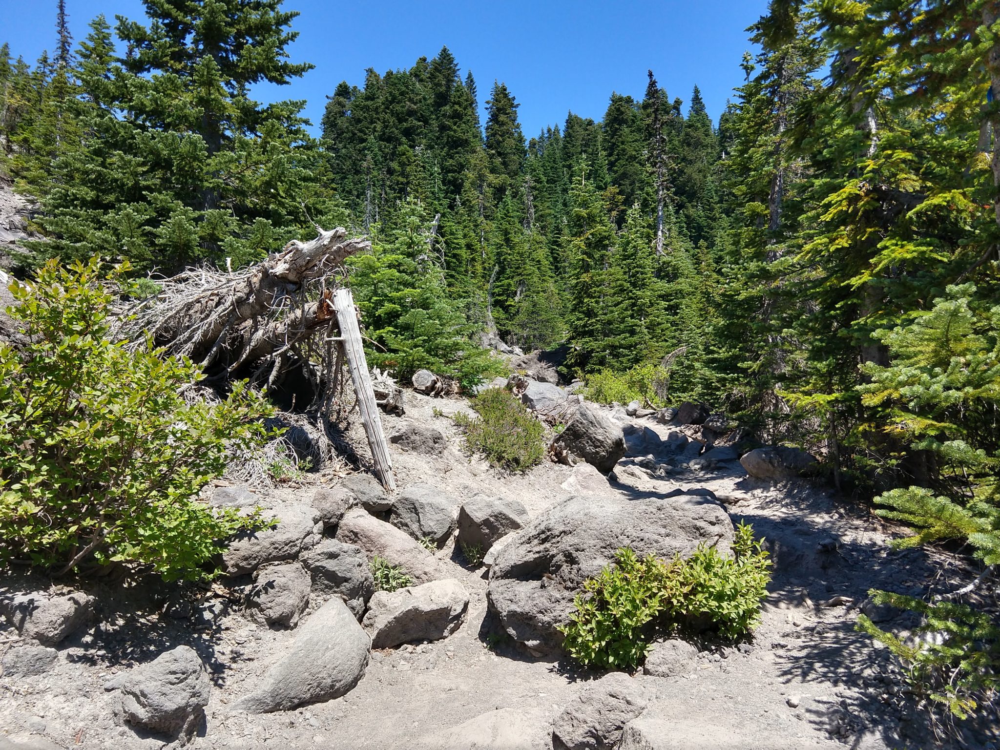 Hiking Mount St. Helens