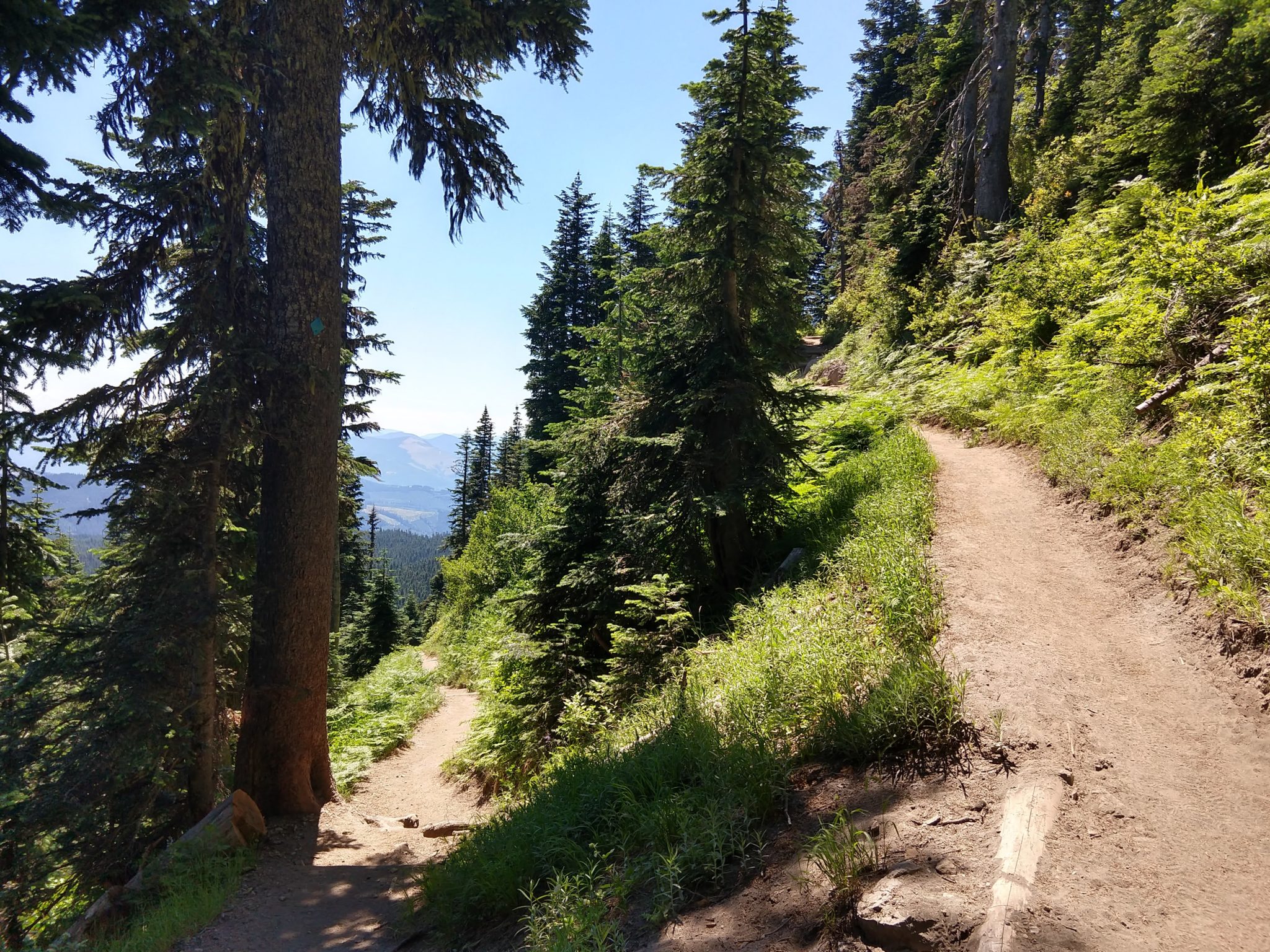 Hiking Mount St. Helens