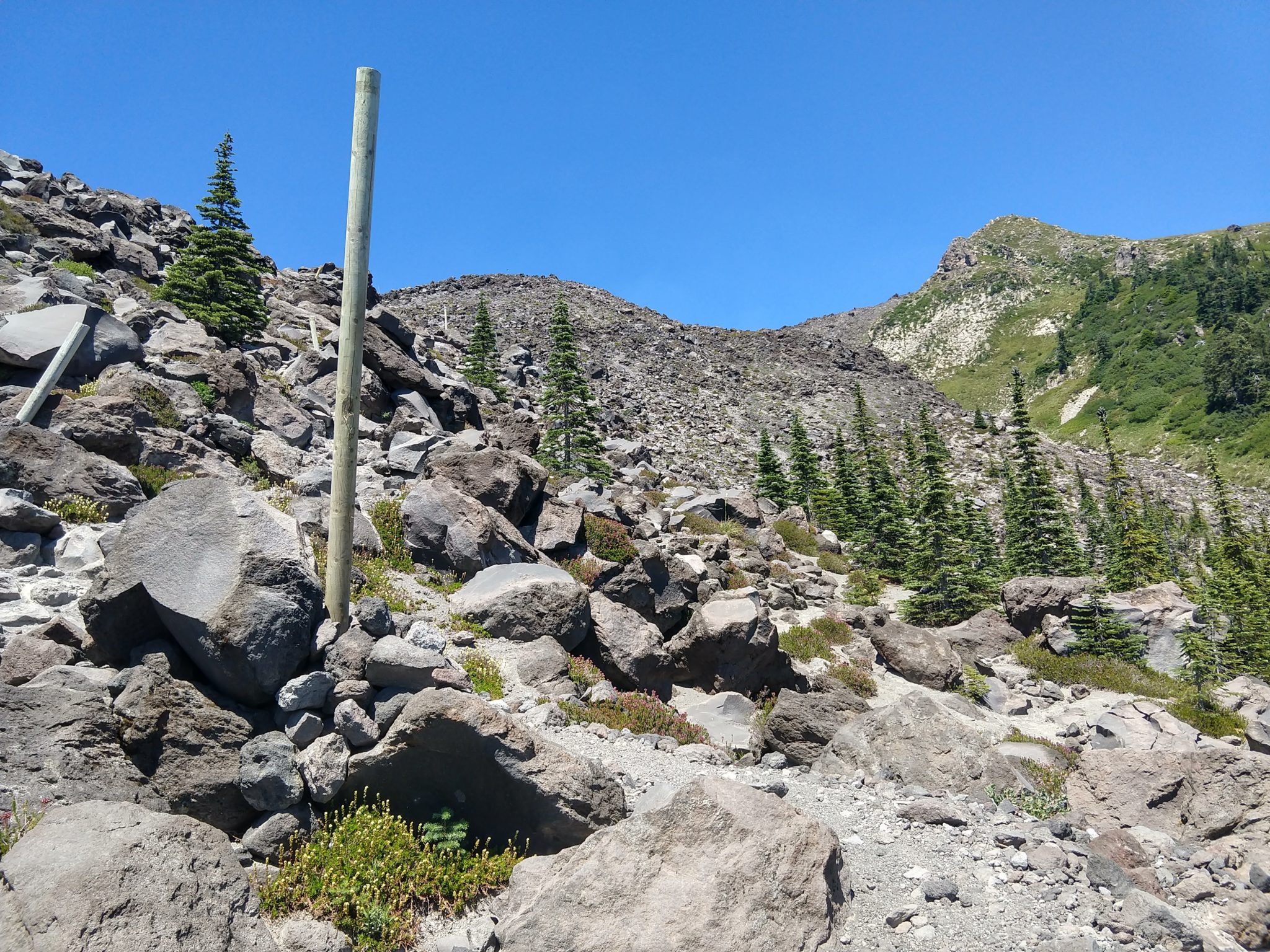 Hiking Mount St. Helens