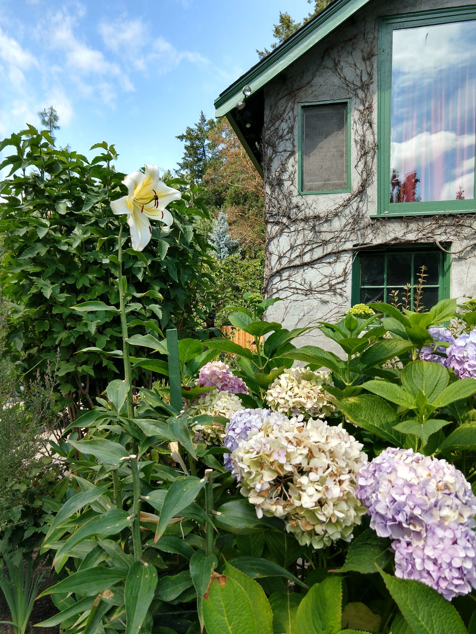 Butchart Gardens