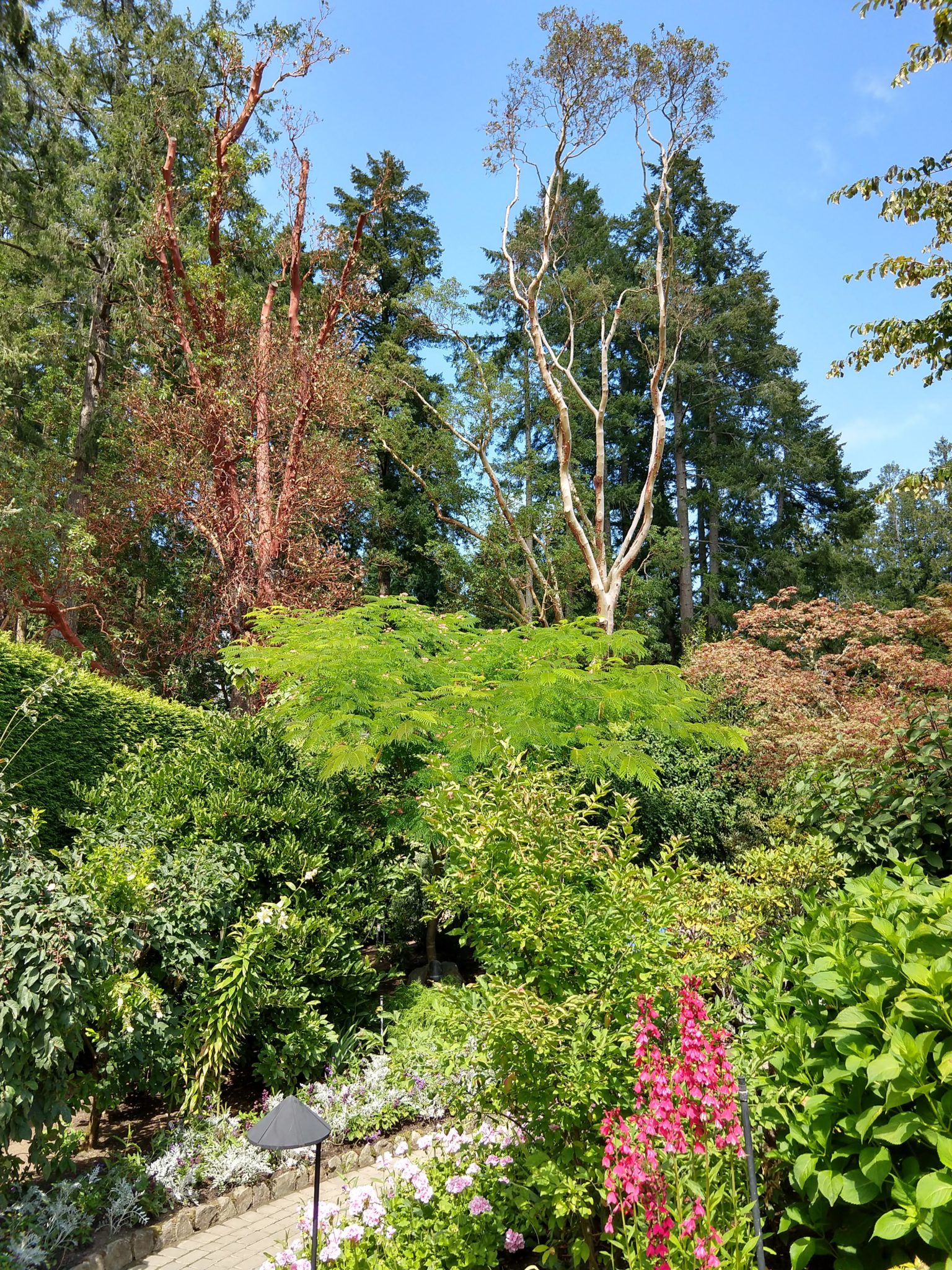 Butchart Gardens