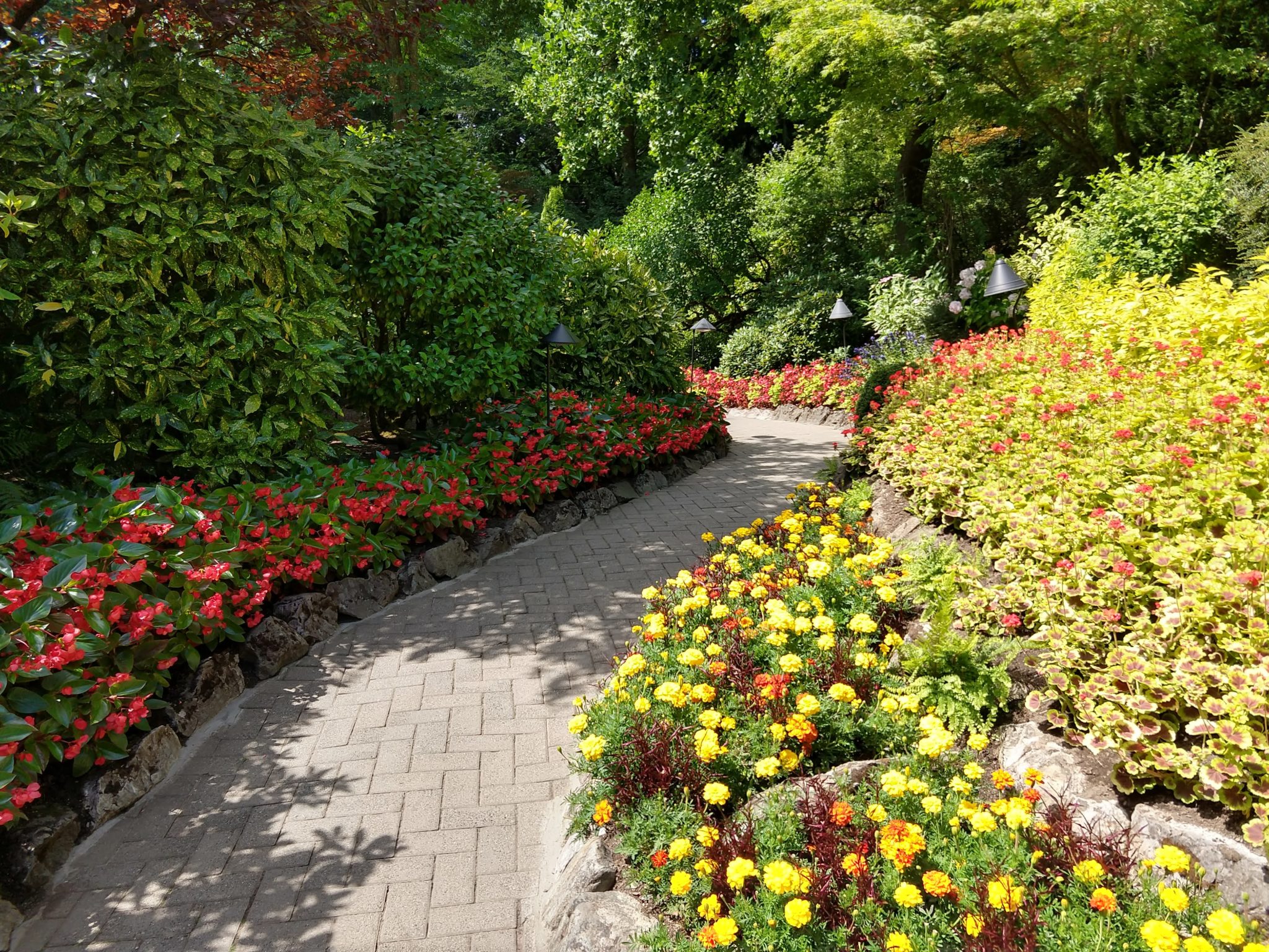 Butchart Gardens