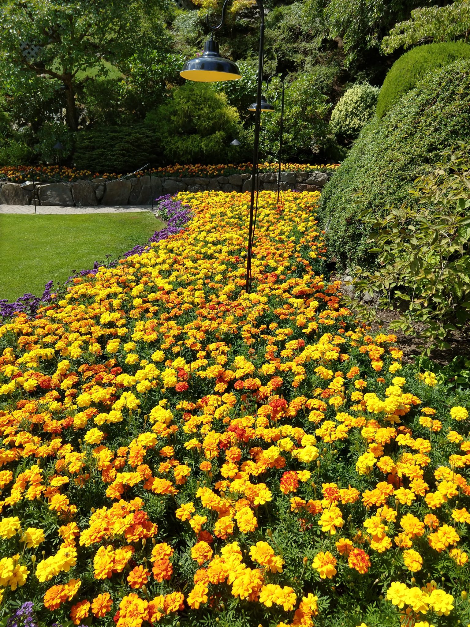 Butchart Gardens