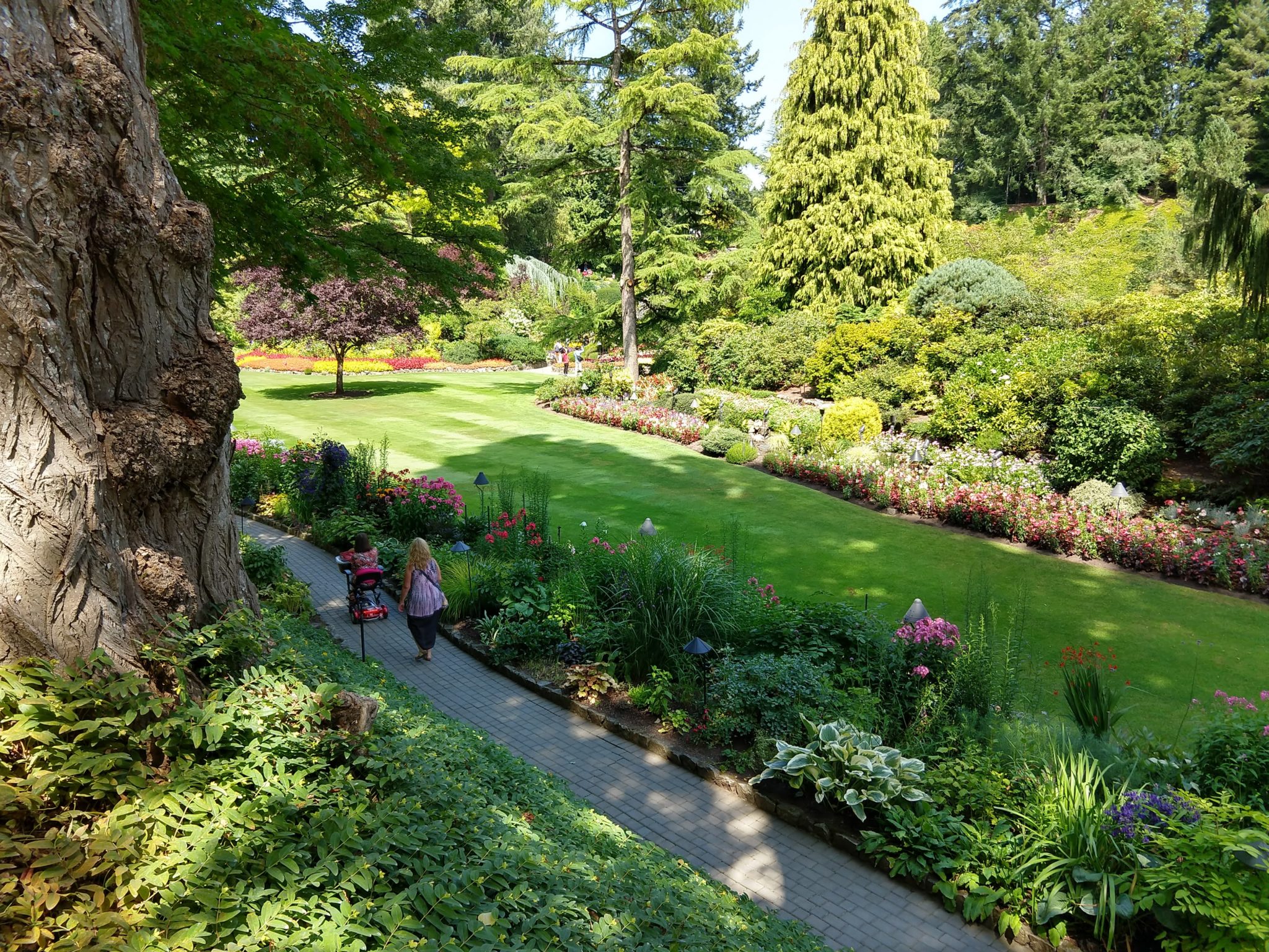 Butchart Gardens